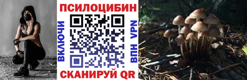 Галлюциногенные грибы мицелий  Берёзовский 